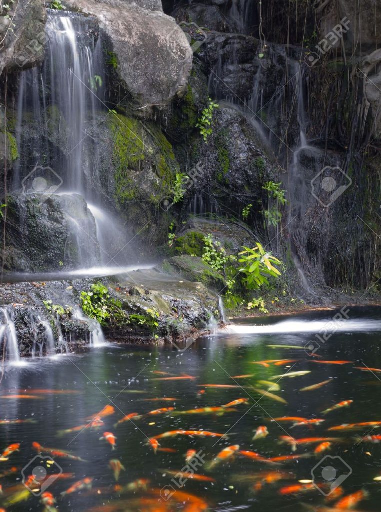 Thác nước, hồ cá