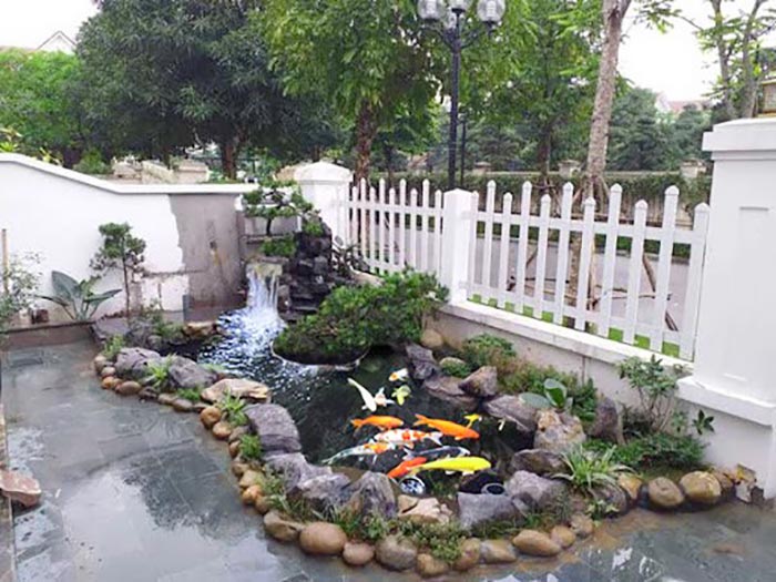 "Thiết kế thi công hồ koi cao cấp tại TPHCM"