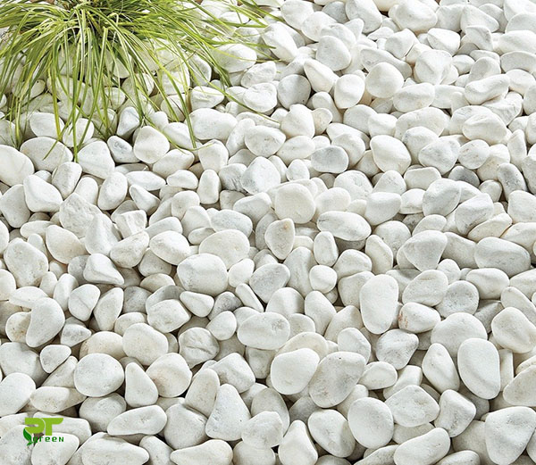 đá cuội trang trí sân vườn giá rẻ