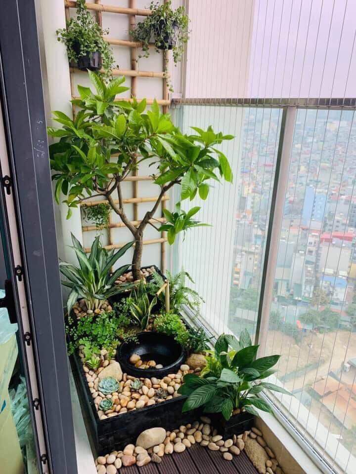 Thi công tiểu cảnh sân thượng tại Củ Chi
