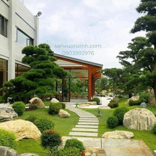 Thiết kế thi công sân vườn tại Quận 7
