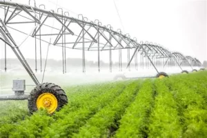 Cung cấp thi công hệ thống tưới tự động tại Long An 