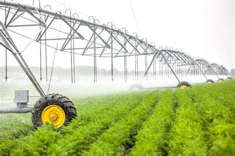 Cung cấp thi công hệ thống tưới tự động tại Long An 