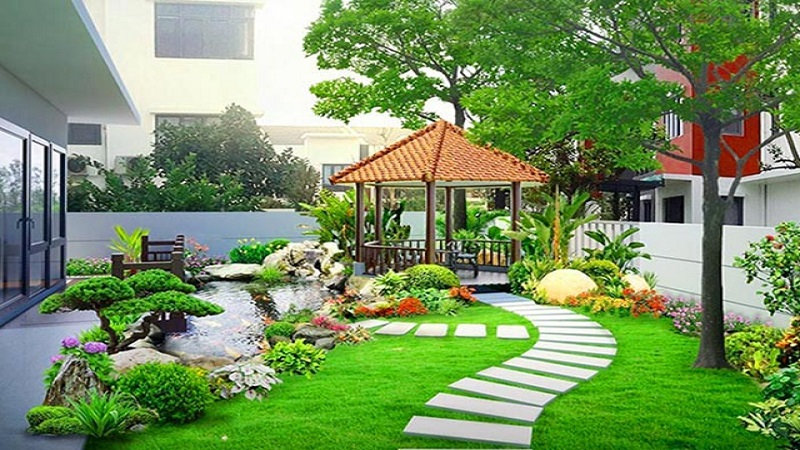 Cung cấp cỏ nhung nhật