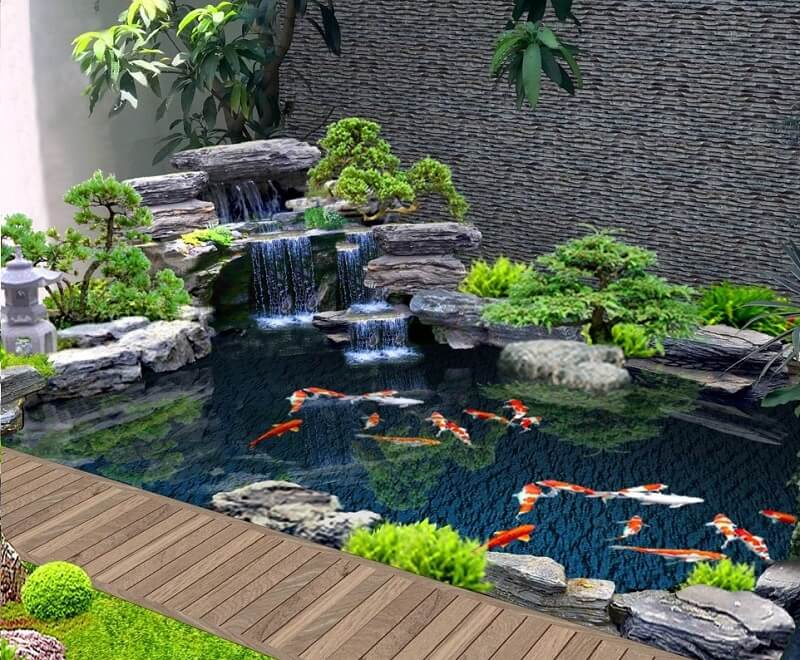 Thi công hồ cá Koi tại Lái Thiêu