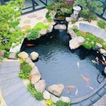 Thiết Kế Thi Công Hồ Cá Koi Tại Củ Chi