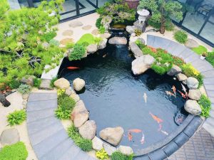 Thiết Kế Thi Công Hồ Cá Koi Tại Củ Chi