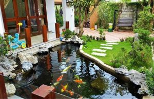 Thiết kế thi công hồ cá koi tại quận 2