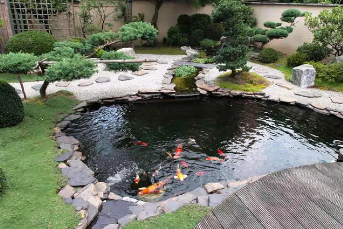 Thiết Kế Thi Công Hồ Cá Koi Tại Củ Chi