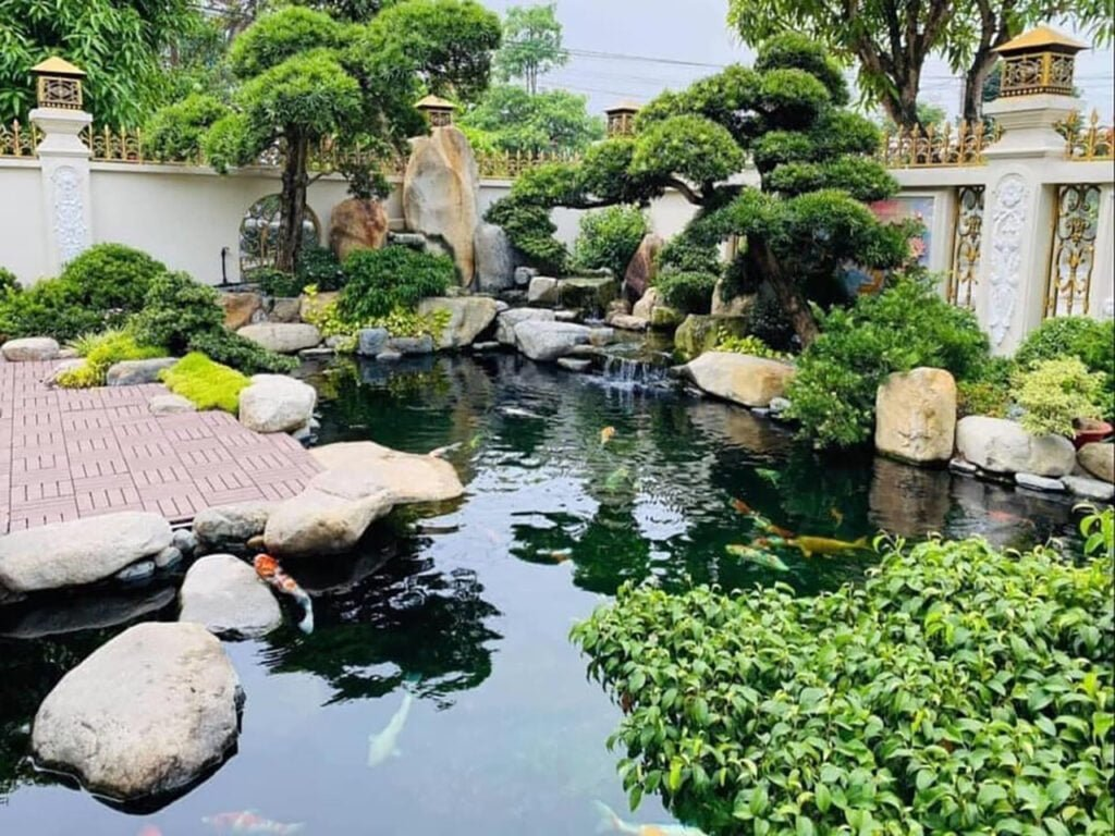 Thiết kế thi công hồ cá koi tại quận 2