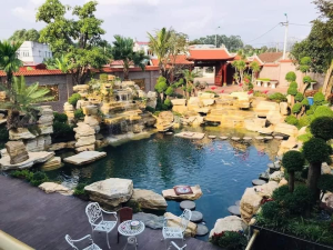 Thiết Kế Thi Công Hòn Non Bộ Tại Vũng Tàu