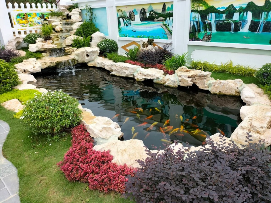 Thiết Kế Thi Công Hồ Cá Koi Tại Bình Tân