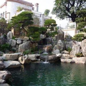 Thiết kế thi công hòn non bộ tại Quận 5