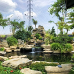 Thiết Kế Thi Công Hồ Cá Koi Tại Quận 6
