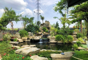 Thiết Kế Thi Công Hồ Cá Koi Tại Quận 6